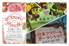 写真 12-04-05 12 45 33